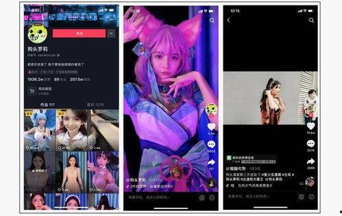 呆呆的爆料视频大全集免费观看,揭秘幕后真相，免费观看大揭秘